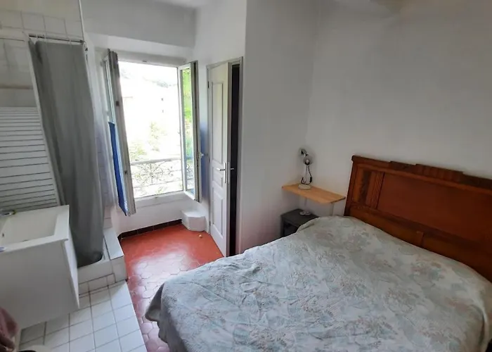 Hotel Du Chateau-Arnoux-Saint-Auban